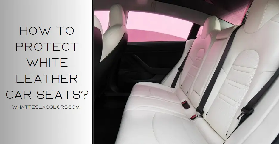How to protect white leather car seats tips and strategies