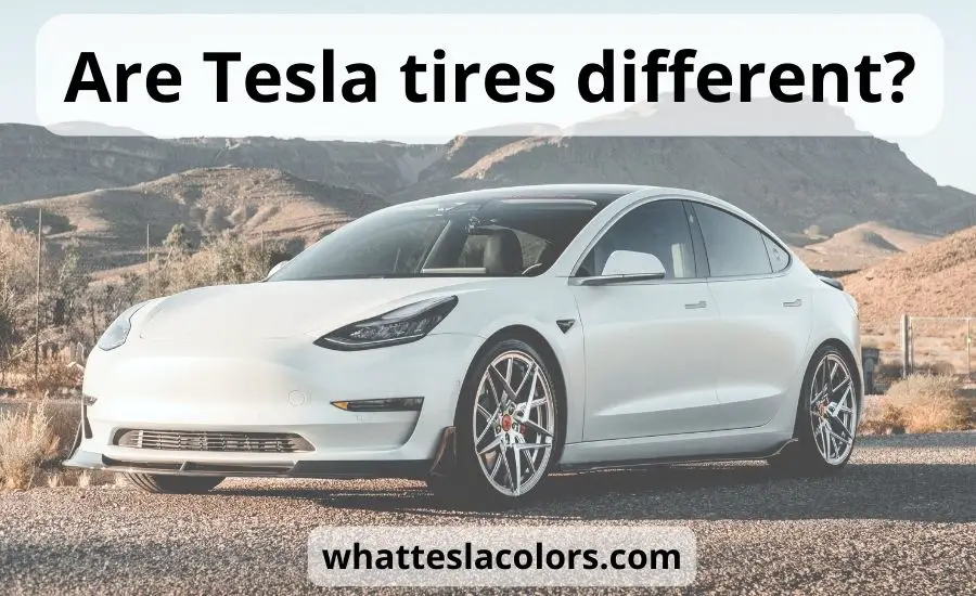 Are Tesla tires different: super helpful guide & review