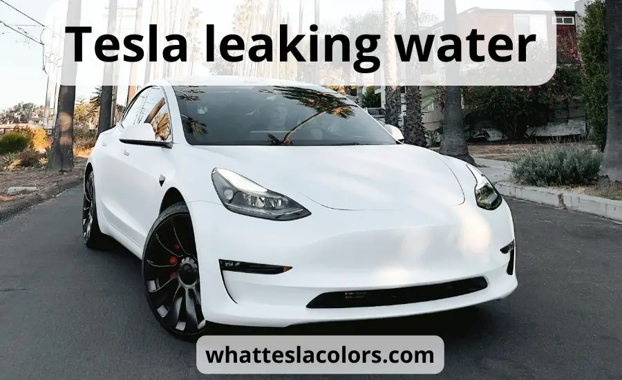 Tesla leaking water: top 5 tips & best guide | main reasons