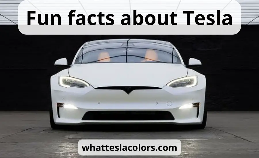 Top 5 fun facts about Tesla: best interesting guide