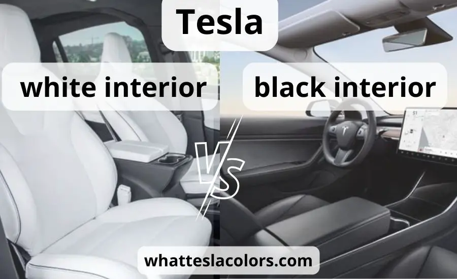 Tesla white interior vs black: super helpful guide & review